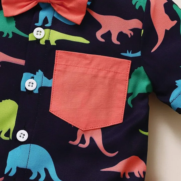 Little Boy Dinosaur Shirts & Summer Outfit Sets