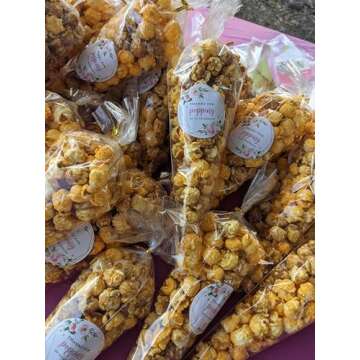 FUNNYARD Mini Cone Bag 200Pcs Clear Treat Popcorn Bags 5.1 by 9.8 Inch Triangle Cellophane Bags with Twist Ties for Handmade Cookies Wedding