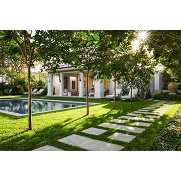 Transform Your Space with Living Well by Design: Melissa Penfold