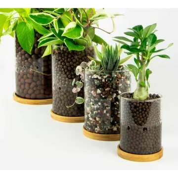 Self-Watering Leca Glass Planter with Drainage