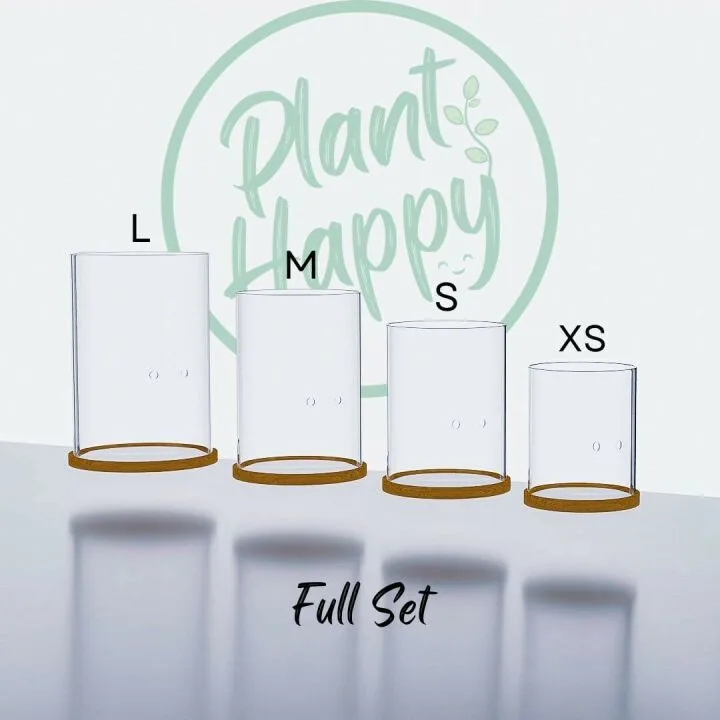 Self-Watering Leca Glass Planter with Drainage