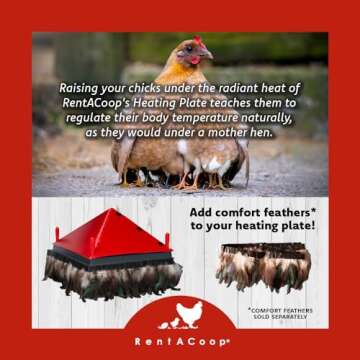 RentACoop 16x16 Inch Adjustable Heating Plate with BONUS Foldable Anti-Roost Cone for up to 30 Chicks | Large Chick Brooder Heat Plate – Energy-Efficient and Safer than Heat Lamps