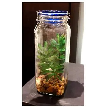 Mosser Lee River Pebbles 5 lb for Decor and Gardening