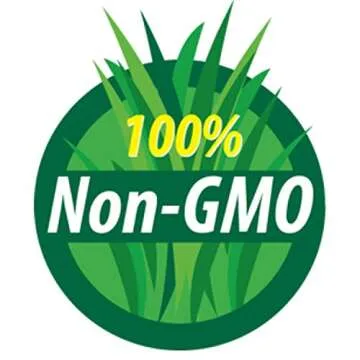 Protein Powerhouse Sprouting Seed Mix: 8 Oz - Organic, Non-GMO - Sprouting Sprouts, Food Storage. High Protien Sprouts - Pea, Mung, Green Pea, Adzuki