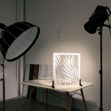 V-FLAT WORLD Shadow Board for Food & Product Photography, Photo Backdrop, Mimic Natural Light Effects, Reusable Board Backdrop for Photoshoot, Content Creation, Shadow Simulator, Palm Leaf