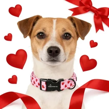 Cute Valentine's Day Dog Collar for All Dogs