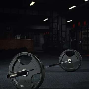 RitFit Weight Plates for Barbell, 2-Inch Olympic Rubber Grip Plates for Weightlifting and Strength Training in Home & Gym, Single, Pair and Sets(45 LB, Pair)