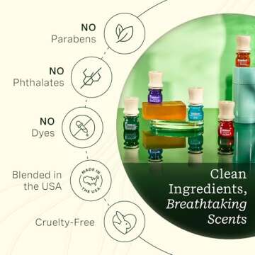 Lifelines Essential Oil Blends, 4-Pack for Aromatherapy