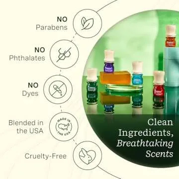 Lifelines Essential Oil Blends, 4-Pack for Aromatherapy