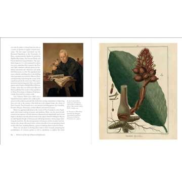 Herbarium Book by Dr. Thiers - Explore Plant History