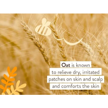 Babo Botanicals Moisturizing Oat & Calendula Conditioner - Silicone-Free - For Dry or Sensitive Skin - For all ages - Vegan - Lightly Scented