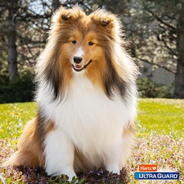 Hartz UltraGuard Flea & Tick Oatmeal Shampoo for Dogs