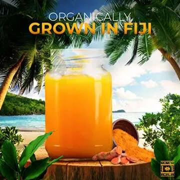 Organic Raw Turmeric Root - Fresh 1 Lb Fijian Spice