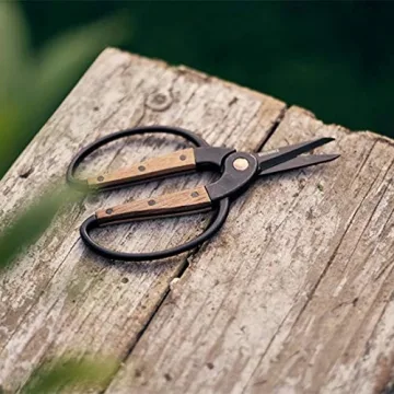 Barebones Garden Scissors for Effortless Gardening Comfort