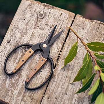 Barebones Garden Scissors for Effortless Gardening Comfort