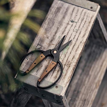 Barebones Garden Scissors for Effortless Gardening Comfort