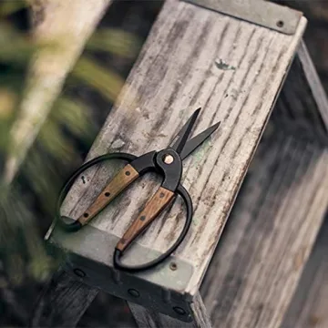 Barebones Garden Scissors for Effortless Gardening Comfort