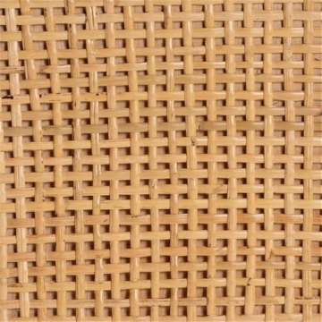 Baxton Studio Vivan Modern Bohemian Natural Brown Rattan and Mahogany Wood Storage Cabinet