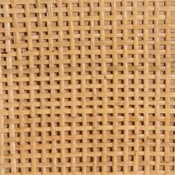 Baxton Studio Vivan Modern Bohemian Natural Brown Rattan and Mahogany Wood Storage Cabinet