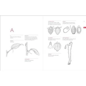 Botanist’s Vocabulary with 1300 Illustrated Terms