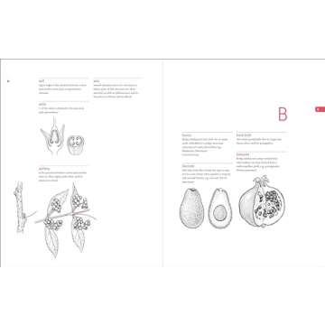 Botanist’s Vocabulary with 1300 Illustrated Terms