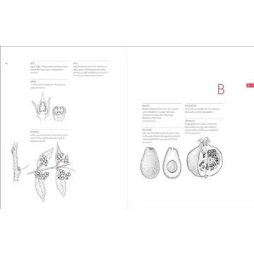 Botanist’s Vocabulary with 1300 Illustrated Terms