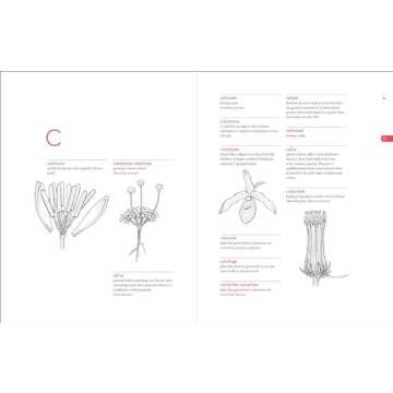 Botanist’s Vocabulary with 1300 Illustrated Terms