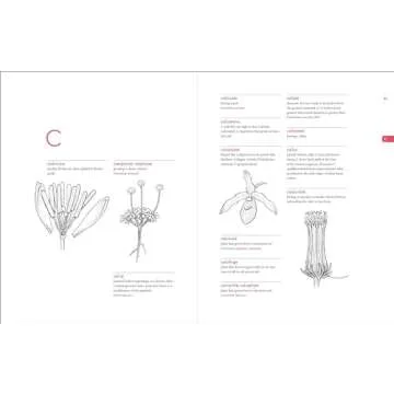 Botanist’s Vocabulary with 1300 Illustrated Terms