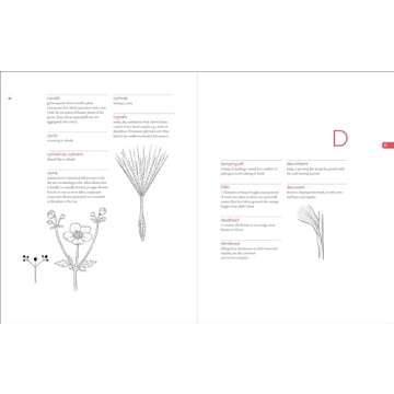 Botanist’s Vocabulary with 1300 Illustrated Terms