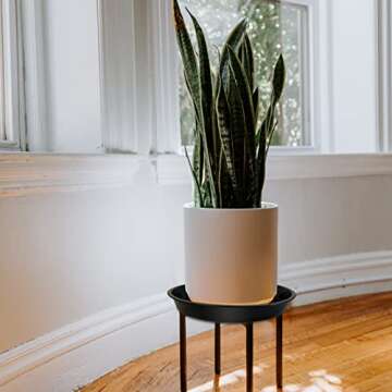 DUNPUTE Plant Saucer 16 18 20 22 Inch, 4 Pack Heavy Duty Large Plant Tray for Planter Pot, Plastic Flower Pot Saucers Drip Water Trays for Indoors and Outdoors (20 Inch)