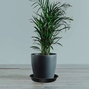 DUNPUTE Plant Saucer 16 18 20 22 Inch, 4 Pack Heavy Duty Large Plant Tray for Planter Pot, Plastic Flower Pot Saucers Drip Water Trays for Indoors and Outdoors (20 Inch)