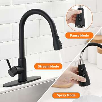 Elegant Black Kitchen Faucet with Pull Down Sprayer