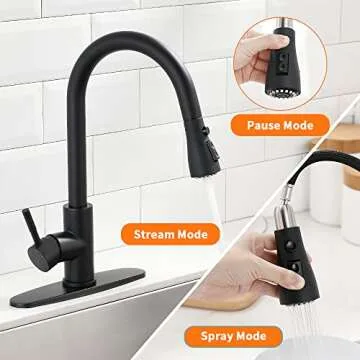 Elegant Black Kitchen Faucet with Pull Down Sprayer