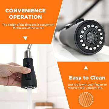Elegant Black Kitchen Faucet with Pull Down Sprayer