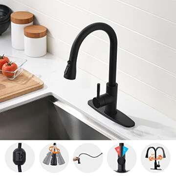 Elegant Black Kitchen Faucet with Pull Down Sprayer