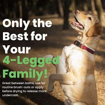 Best Shot Ultra Vitalizing Mist Detangler, 16 oz