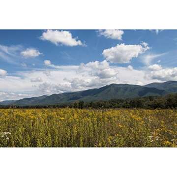 Sigma 18-35mm F/1.8 DC HSM Lens for Canon APS-C DSLR Cameras (Renewed)