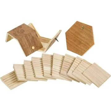 Bee Habitat DIY Art Craft Kit for Kids, 8+