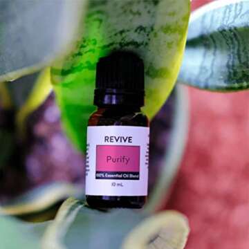 Purify Essential Oil Blend by Revive Essential Oils - REVIVEEO - 100% Pure Therapeutic Grade, for Diffuser, Humidifier, Massage, Aromatherapy, Skin & Hair Care