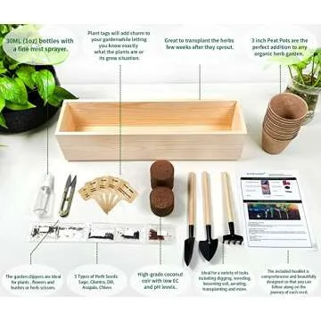 Organic Cilantro Kit for Windowsill - Grow Fresh Herbs
