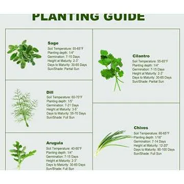 Organic Cilantro Kit for Windowsill - Grow Fresh Herbs