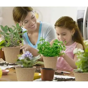 Organic Cilantro Kit for Windowsill - Grow Fresh Herbs