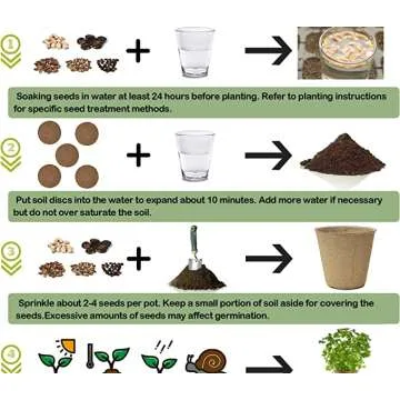 Organic Cilantro Kit for Windowsill - Grow Fresh Herbs