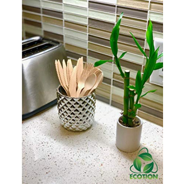 Eco-Friendly Disposable Wooden Cutlery Set of 200