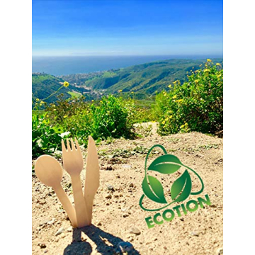 Eco-Friendly Disposable Wooden Cutlery Set of 200