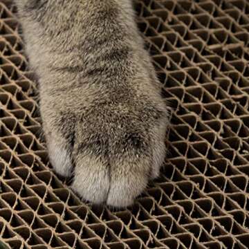 Chew King Premium Treat Dog Toy - Safe, Durable & Fun for All Dogs