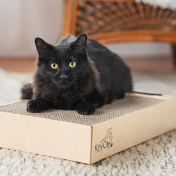 Chew King Durable Fillable Toy for Anxious Dogs