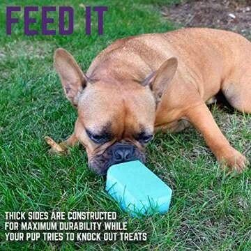 Chew King Durable Fillable Toy for Anxious Dogs
