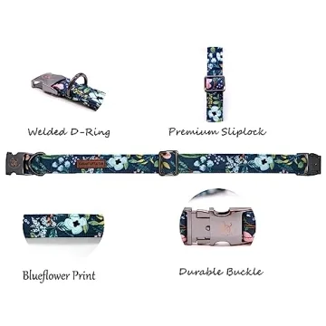 Elegant Little Tail Dog Collar - Adjustable Floral Collar for Medium Dogs
