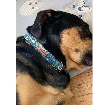 Elegant Floral Dog Collar for Medium Dogs - Durable Design